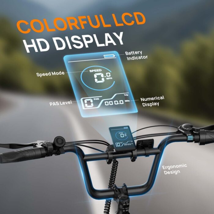 URLIFE Electric Bike for Adults, 20" x 3.0 Fat Tire Electric Bicycle with Colorful Display, 250W Motor Ebike, 48V 13Ah Removable Battery, 100 KM Max, All-Terrain E-Bike for Adults and Teens