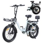 TWOFISH Electric Bike for Adults, 20"*3.0" Fat Tire Folding Electric Bicycle with 36V 17.8AH Removable Battery 7 Speed 25km/h 80-100km Range Disc Brake IP54 Waterproof, TF-2