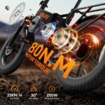 URLIFE Folding Electric Bike, 20 * 4.0 Inch Fat Tire E-Bike for Adult 48V 13AH Removable Battery, 80-100KM Long Range, Full Suspension for All Terrains, Electric Mountain Bike with LED