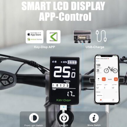 VARUN Electric Bike, 27.5" Electric Mountain Bikes with 48V 13Ah (624Wh) Removable Battery, APP, 250W 55Nm Motor, 21 Speed Gear, E-bike for Men and Women