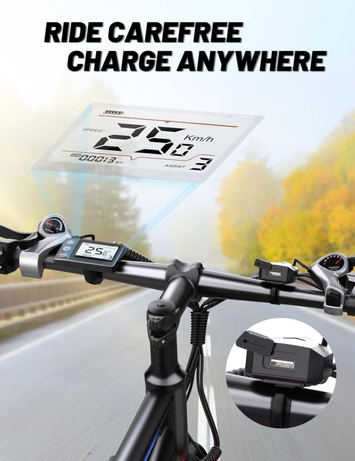 DUOTTS C29 Electric Bike, 29'' E-Mountain Bike with 48V 15Ah Removable Battery & 250W Powerful Motor, Professional 21-Speed with LCD Display, Electric Commuter Bicycle for Adults Men and Women