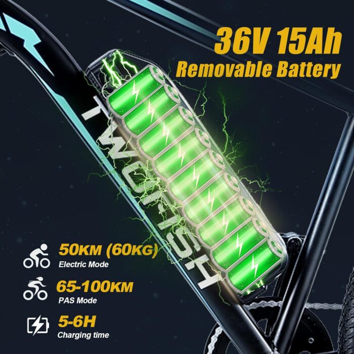 TWOFISH Electric Bike for Adults, 26" Electric Mountain Bike with 36V 15Ah Battery and 250W Motor, 100KM Max Range, 7-Speed E Bike with LED Display, Disc Brakes, Cruise Control, TF-1