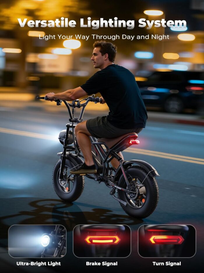 VARUN Electric Bike, 16" x 4.0 Fat Tire E-Bike with 48V 624Wh Battery, Max 62 Miles Range, LCD Display with 5 PAS, Full Suspension & Indicators, All-terrain Electric Dirt Bike for Adults and Teens