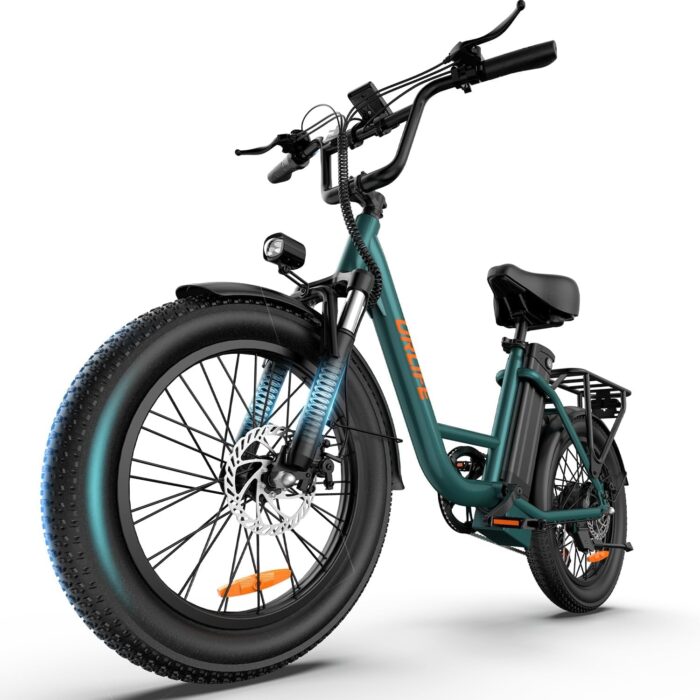 URLIFE Electric Bike for Adults, 20" x 3.0 Fat Tire Electric Bicycle with Colorful Display, 250W Motor Ebike, 48V 13Ah Removable Battery, 100 KM Max, All-Terrain E-Bike for Adults and Teens