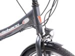 F.lli Schiano E-Star, Electric Bike for Adults, 20" Folding Bike, 36V 10.4Ah Removable Battery, 250W Motor, 40Nm, Commuter Ebike