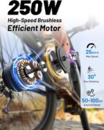 DUOTTS C29 Electric Bike, 29'' E-Mountain Bike with 48V 15Ah Removable Battery & 250W Powerful Motor, Professional 21-Speed with LCD Display, Electric Commuter Bicycle for Adults Men and Women