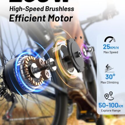 DUOTTS C29 Electric Bike, 29'' E-Mountain Bike with 48V 15Ah Removable Battery & 250W Powerful Motor, Professional 21-Speed with LCD Display, Electric Commuter Bicycle for Adults Men and Women