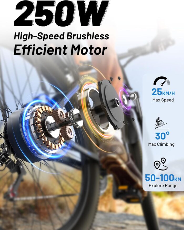 DUOTTS C29 Electric Bike, 29'' E-Mountain Bike with 48V 15Ah Removable Battery & 250W Powerful Motor, Professional 21-Speed with LCD Display, Electric Commuter Bicycle for Adults Men and Women