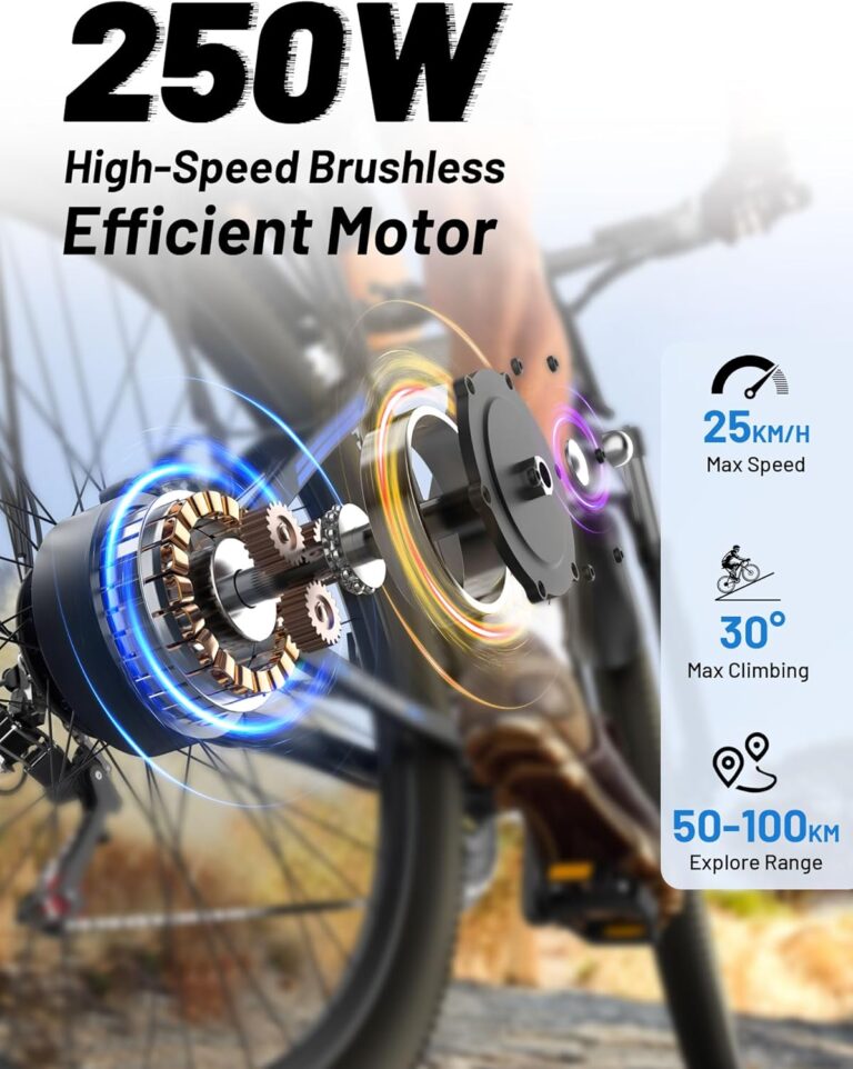 DUOTTS C29 Electric Bike, 29'' E-Mountain Bike with 48V 15Ah Removable Battery & 250W Powerful Motor, Professional 21-Speed with LCD Display, Electric Commuter Bicycle for Adults Men and Women