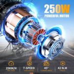 TWOFISH Electric Bike for Adults, 20"*3.0" Fat Tire Folding Electric Bicycle with 36V 17.8AH Removable Battery 7 Speed 25km/h 80-100km Range Disc Brake IP54 Waterproof, TF-2